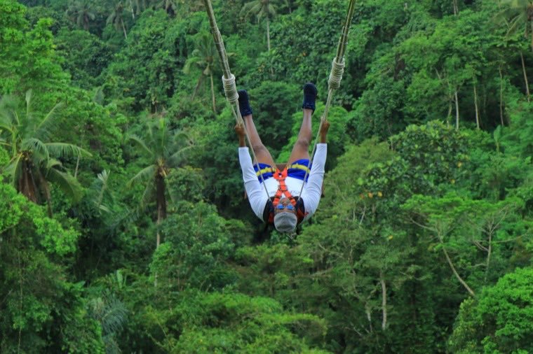 A traveler ziplining high above dense jungle canopy.