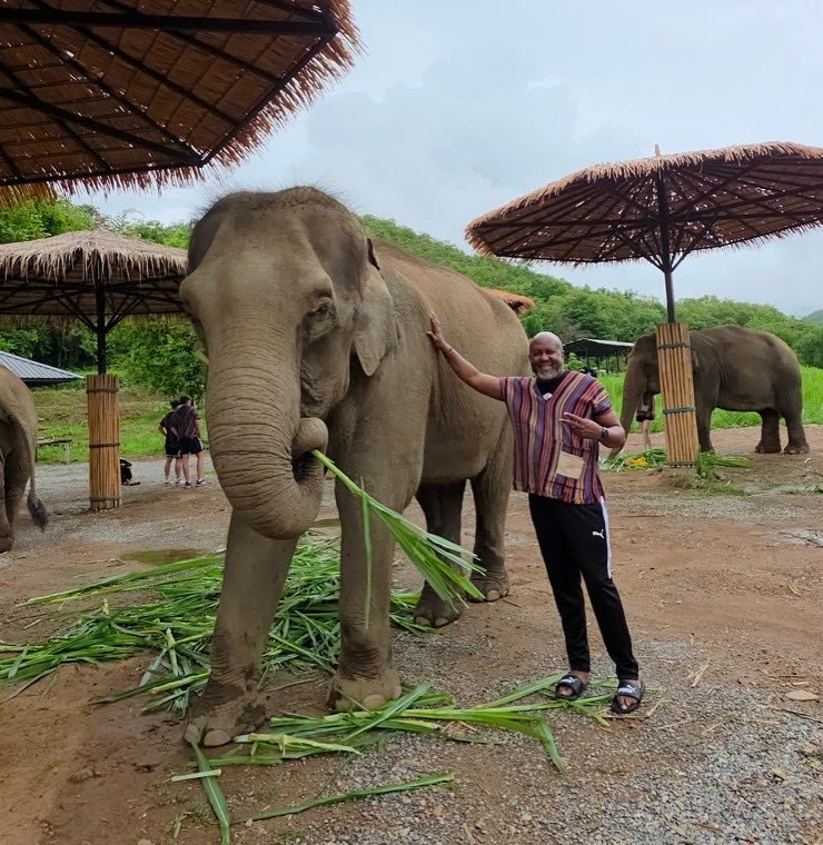 An MDV traveler meeting elephants during a Thailand experience.