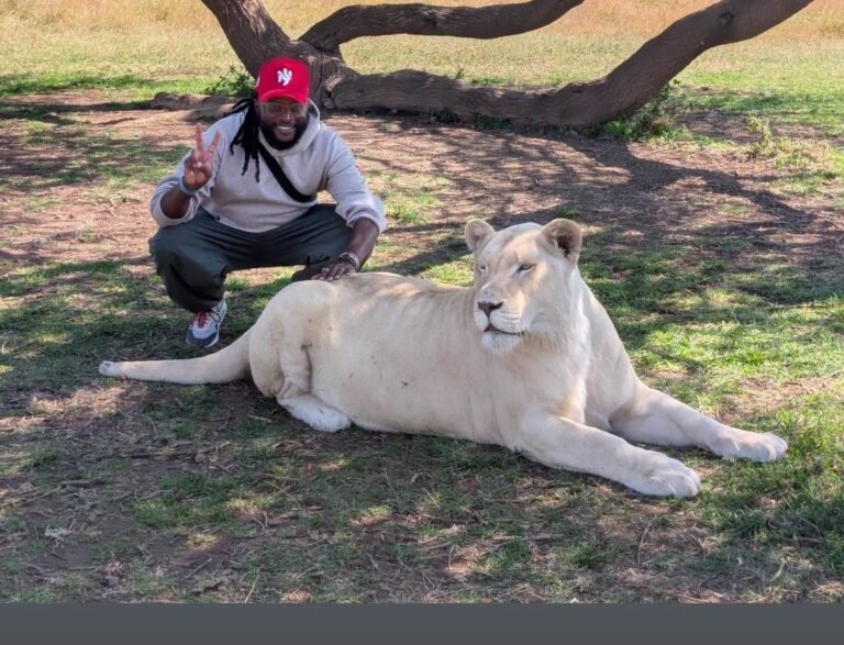 Nick with a lion at Serval Wildlife