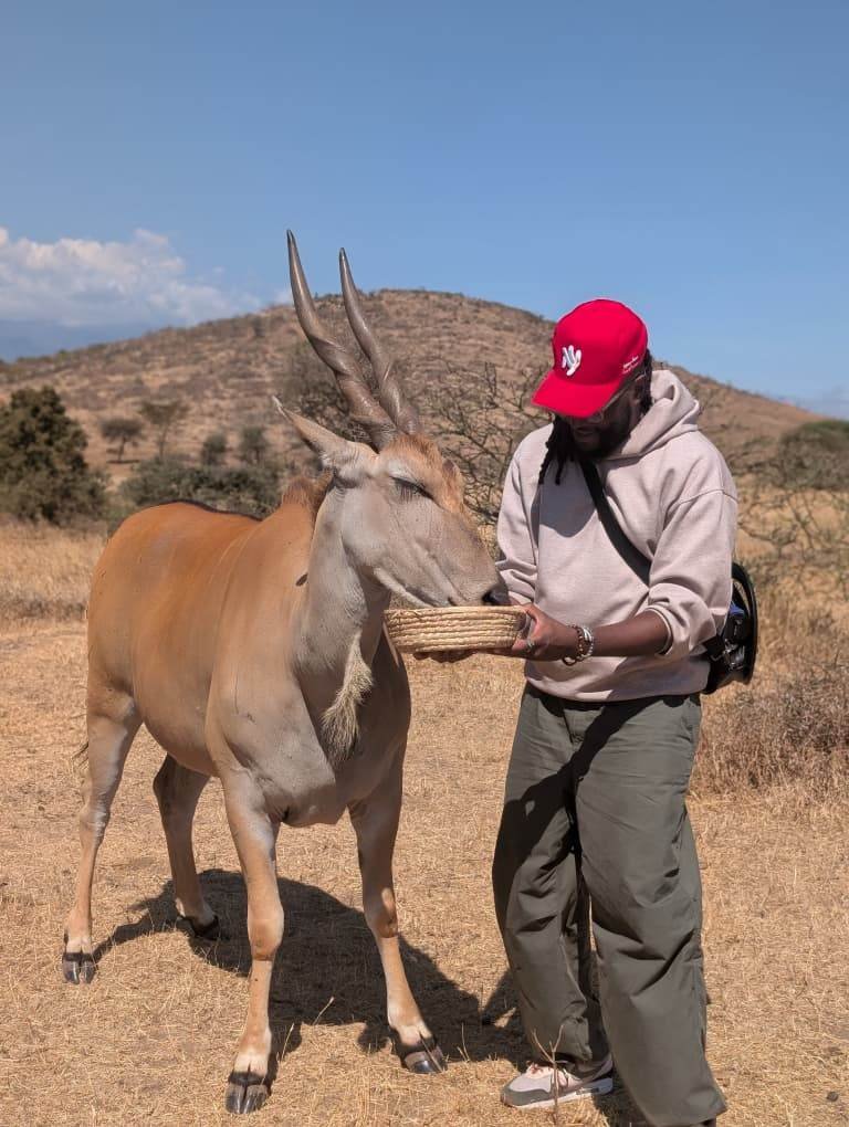 Nick feeding an eland up close