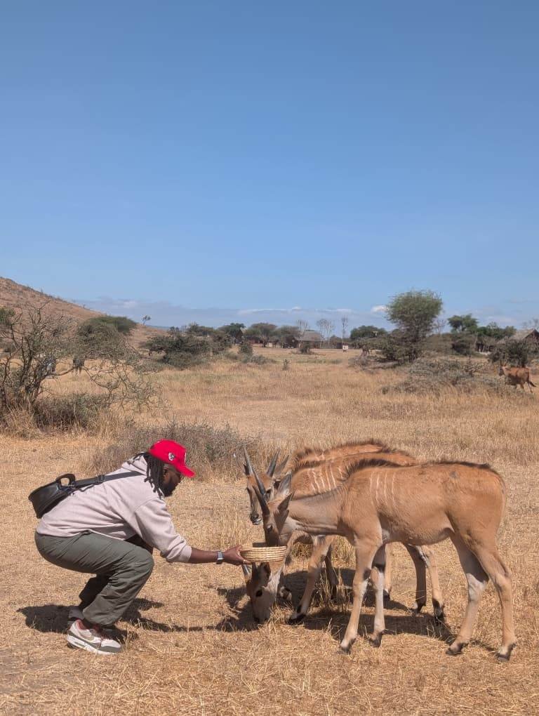 Nick feeding a small group of eland